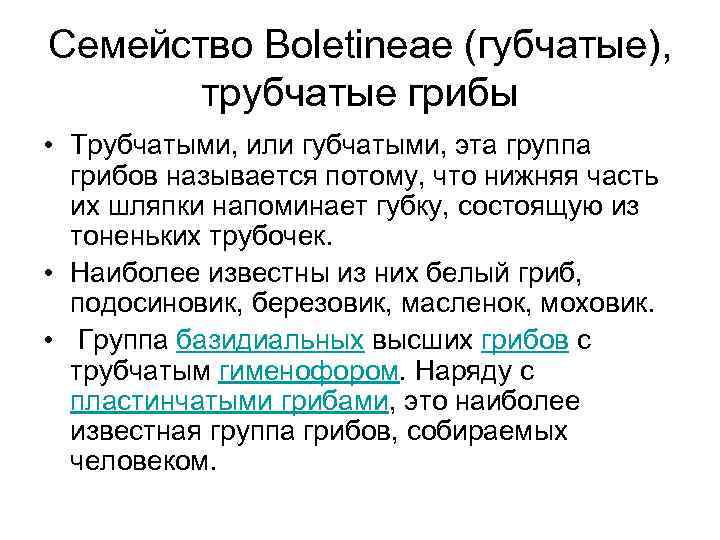 Семейство Boletineae (губчатые),   трубчатые грибы • Трубчатыми, или губчатыми, эта группа 