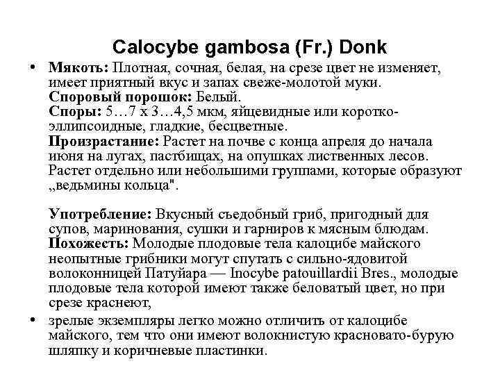   Calocybe gambosa (Fr. ) Donk • Мякоть: Плотная, сочная, белая, на срезе