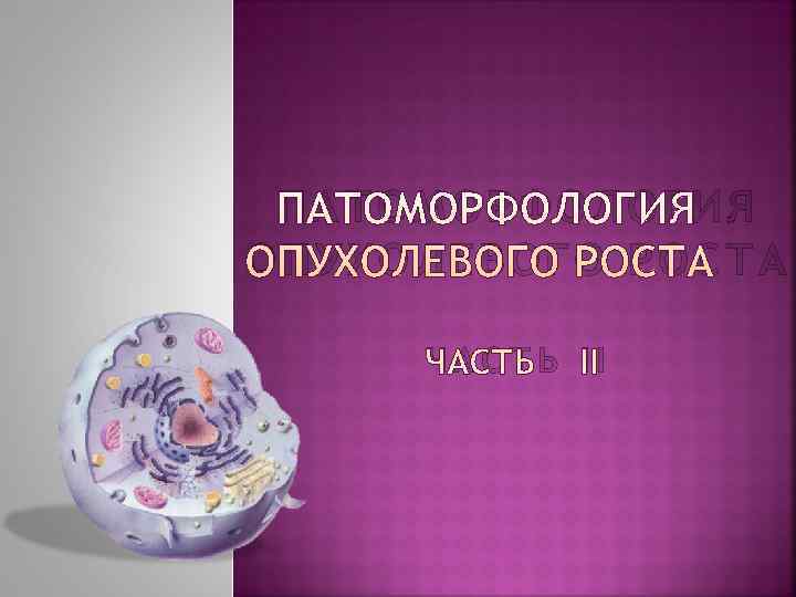  ПАТ ОМОРФОЛОГИЯ ОПУХОЛЕВОГО РОСТА  ЧАСТЬ II 