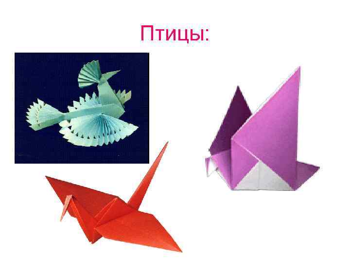 Птицы: • . Птицы: • .