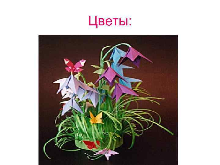 Цветы: Цветы: