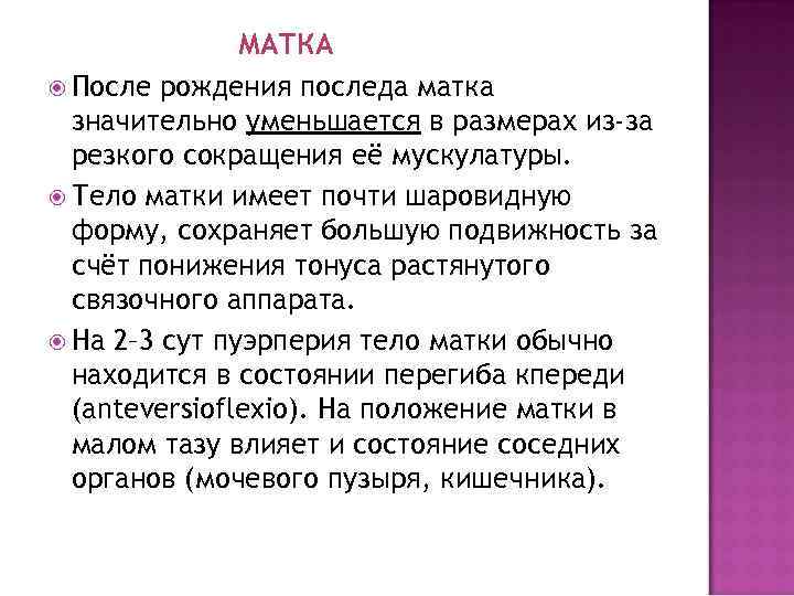     МАТКА  После рождения последа матка  значительно уменьшается в