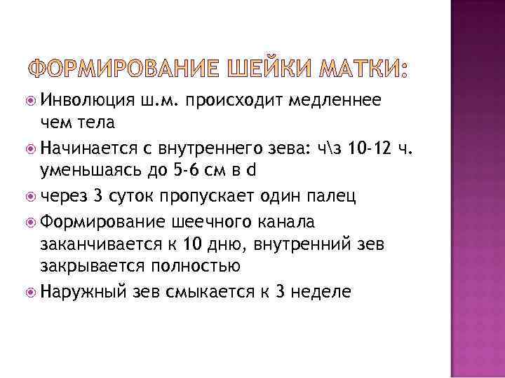  Инволюция  ш. м. происходит медленнее  чем тела  Начинается с внутреннего