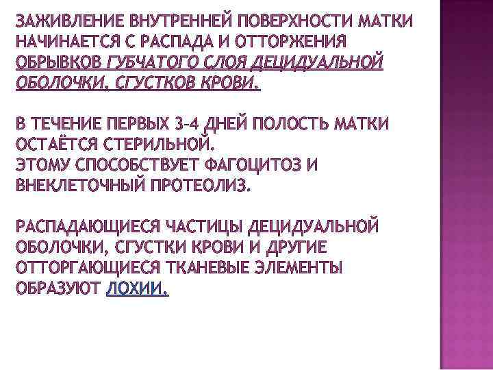 ЗАЖИВЛЕНИЕ ВНУТРЕННЕЙ ПОВЕРХНОСТИ МАТКИ НАЧИНАЕТСЯ С РАСПАДА И ОТТОРЖЕНИЯ ОБРЫВКОВ ГУБЧАТОГО СЛОЯ ДЕЦИДУАЛЬНОЙ ОБОЛОЧКИ,