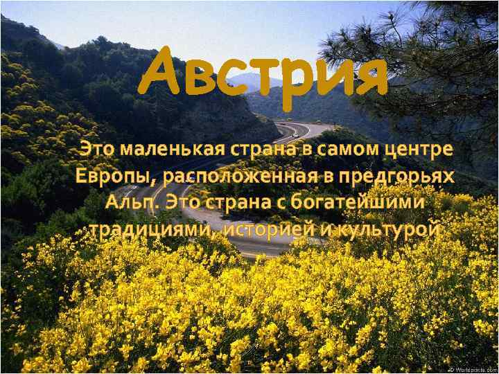  Австрия Это маленькая страна в самом центре Европы, расположенная в предгорьях  Альп.