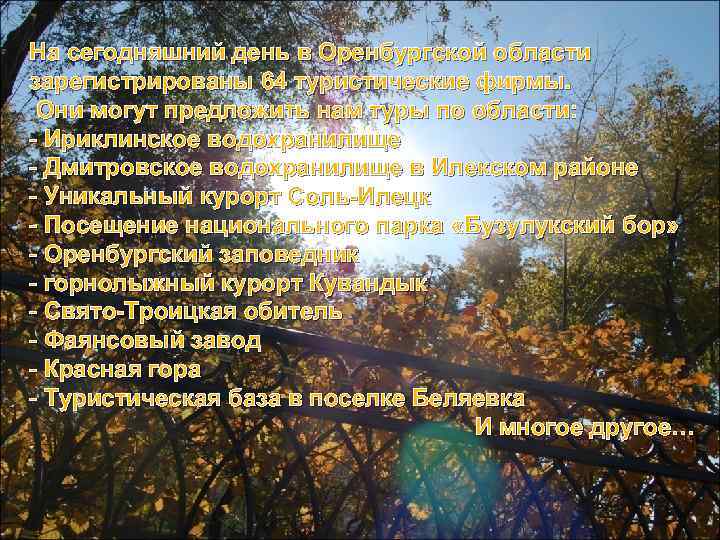 На сегодняшний день в Оренбургской области зарегистрированы 64 туристические фирмы.  Они могут предложить