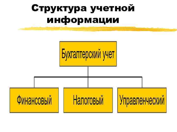 Структура учетной  информации 