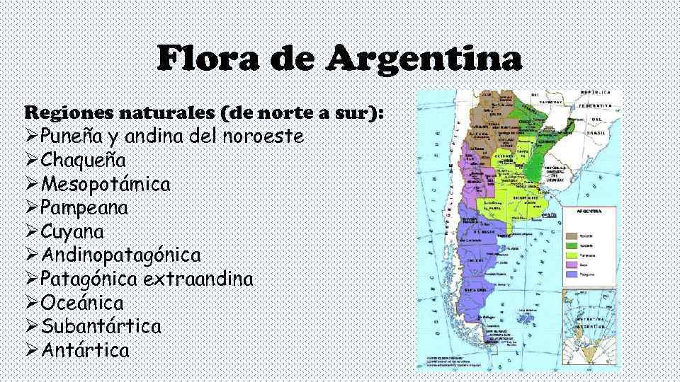    Flora de Argentina Regiones naturales (de norte a sur): ØPuneña y