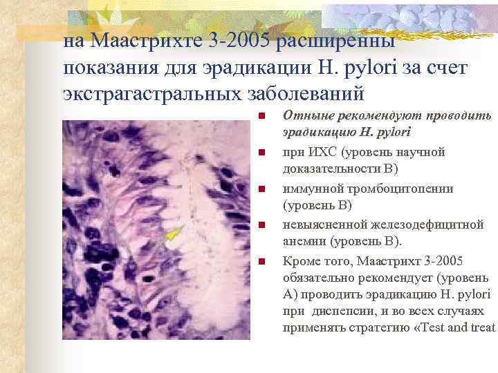 на Маастрихте 3 -2005 расширенны показания для эрадикации H. pylori за счет экстрагастральных заболеваний