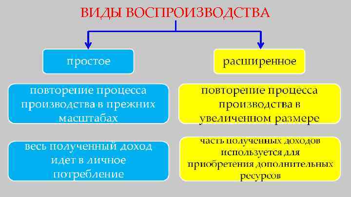 ВИДЫ ВОСПРОИЗВОДСТВА 