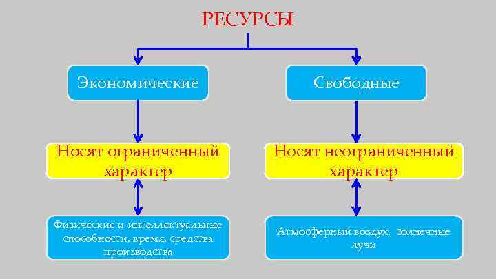      РЕСУРСЫ  Экономические     Свободные 