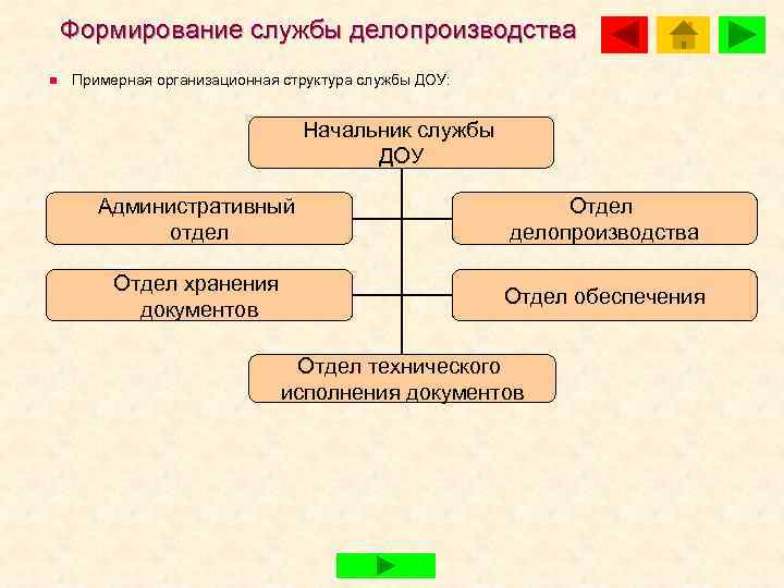 Структура службы доу схема