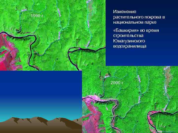   Изменение 1990 г. растительного покрова в   национальном парке  