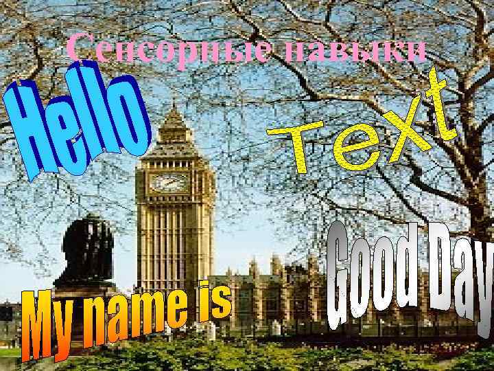 Сенсорные навыки 