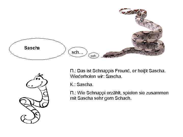 Sascha   sch…    sch. .   П. : Das