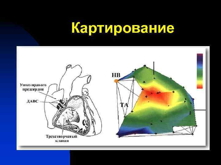 Картирование 