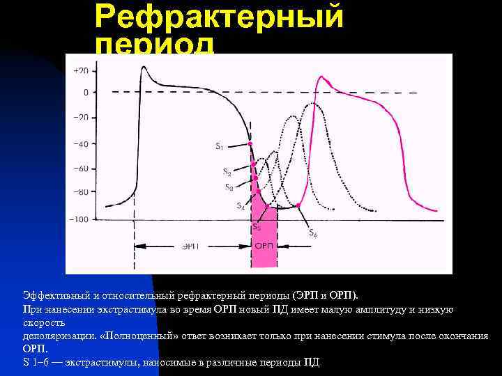 Эффективный период