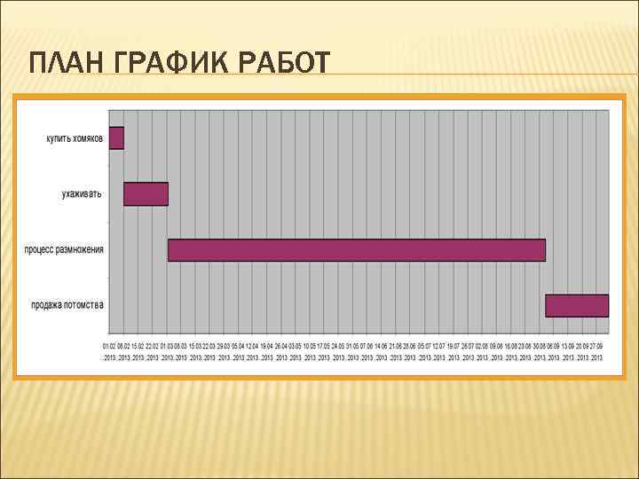 ПЛАН ГРАФИК РАБОТ 