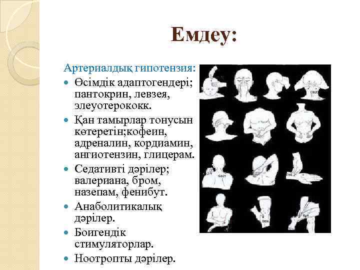     Емдеу: Артериалдық гипотензия:  Өсімдік адаптогендері; пантокрин, левзея, элеуотерококк. 