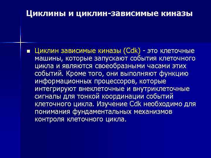 Циклины и циклин-зависимые киназы  n  Циклин зависимые киназы (Cdk) - это клеточные