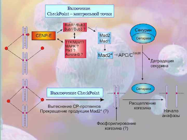    Включение Сheck. Рoint – контрольной точки Выключение Сheck. Рoint 
