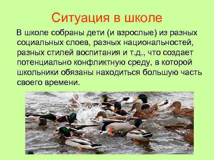   Ситуация в школе В школе собраны дети (и взрослые) из разных социальных