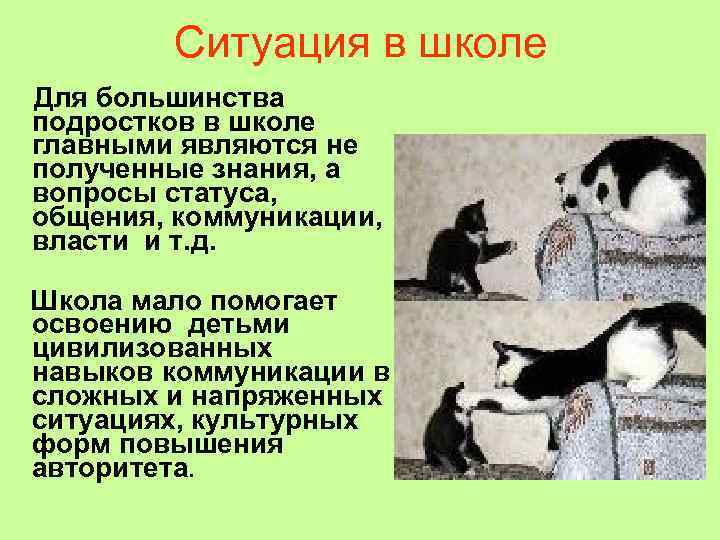   Ситуация в школе Для большинства подростков в школе главными являются не полученные