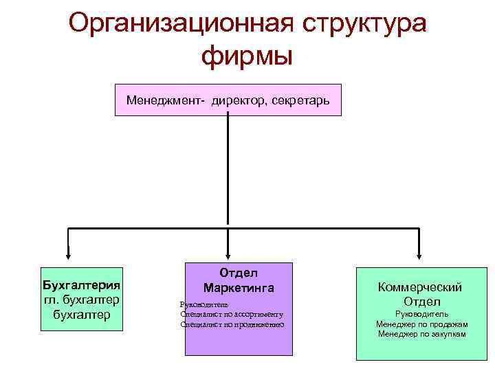 Состав фирмы. Организационная структура менеджера. Организационная структура фирмы 1с. Структура компании-импортёра. Оргструктура компании классика.