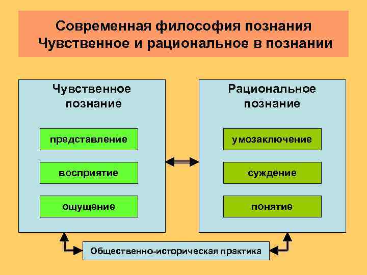  Современная философия познания Чувственное и рациональное в познании  Чувственное   
