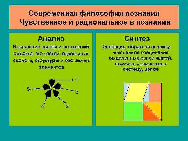  Современная философия познания  Чувственное и рациональное в познании  Анализ 