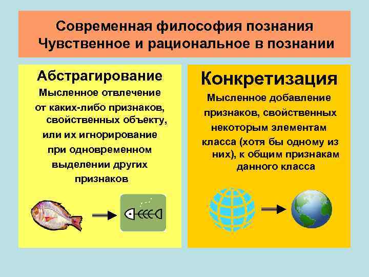  Современная философия познания Чувственное и рациональное в познании Абстрагирование  Конкретизация Мысленное отвлечение