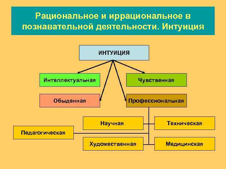   Рациональное и иррациональное в познавательной деятельности. Интуиция     