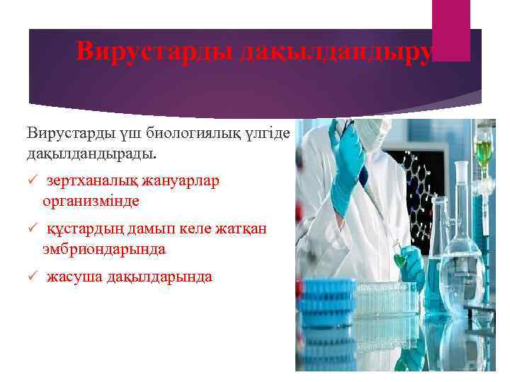   Вирустарды дақылдандыру Вирустарды үш биологиялық үлгіде дақылдандырады. ü  зертханалық жануарлар организмінде
