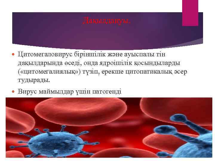     Дақылдануы.   Цитомегаловирус біріншілік және ауыспалы тін дақылдарында өседі,