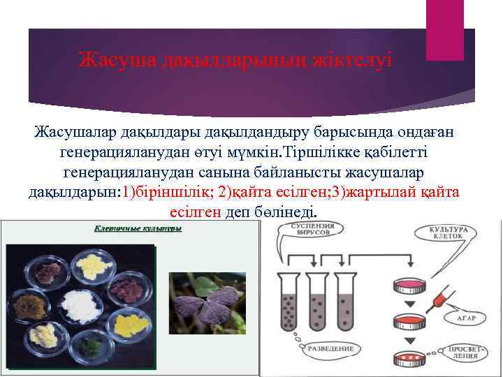  Жасуша дақылдарының жіктелуі  Жасушалар дақылдары дақылдандыру барысында ондаған генерацияланудан өтуі мүмкін. Тіршілікке