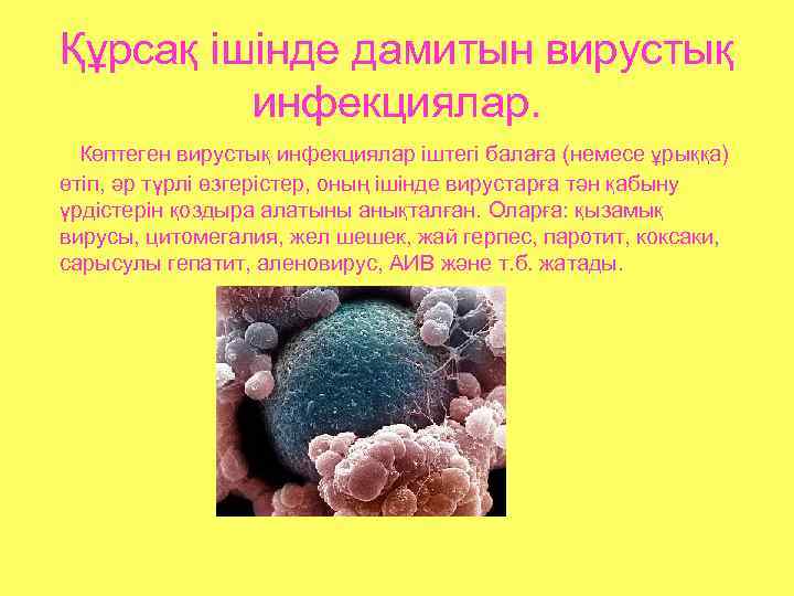 Құрсақ ішінде дамитын вирустық   инфекциялар.  Көптеген вирустық инфекциялар іштегі балаға (немесе