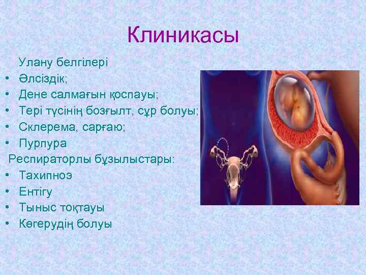      Клиникасы  Улану белгілері • Әлсіздік;  • Дене
