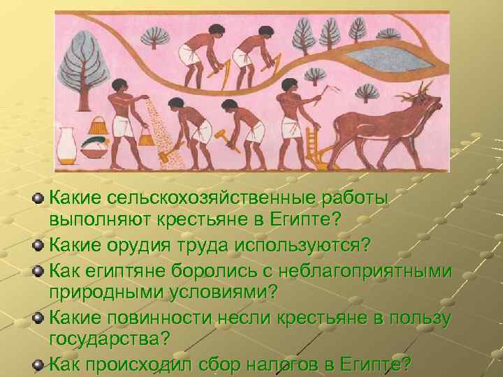 Какие сельскохозяйственные работы выполняют крестьяне в Египте? Какие орудия труда используются? Как египтяне боролись
