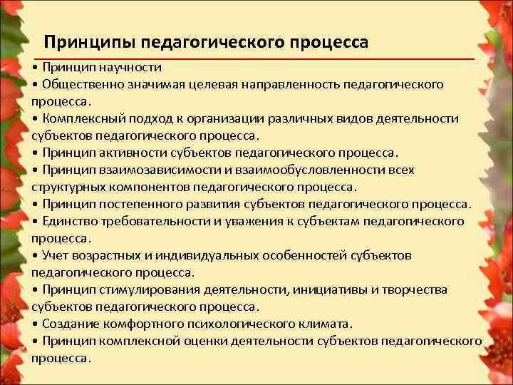 Принципы педагогического процесса