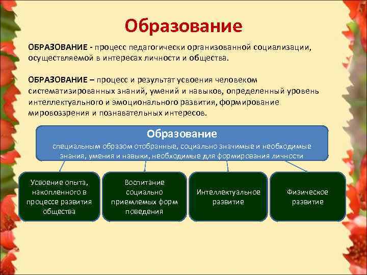 Образование и интересы. Образование педагогически организованной социализации. Педагогически организованный процесс социализации осуществляемый. Образование в процессе социализации. Образование как процесс социализации.