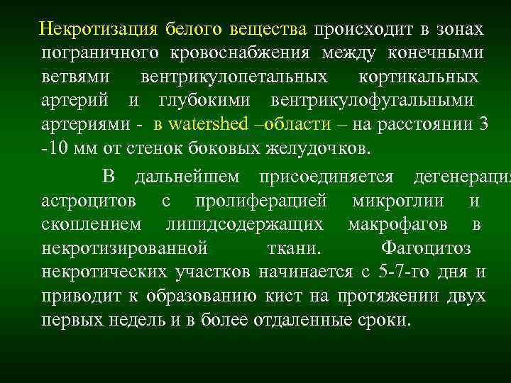 Некротизация белого вещества происходит в зонах пограничного кровоснабжения между конечными ветвями вентрикулопетальных кортикальных артерий Некротизация белого вещества происходит в зонах пограничного кровоснабжения между конечными ветвями вентрикулопетальных кортикальных артерий