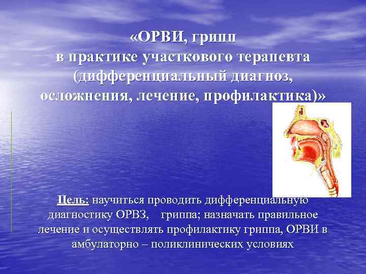   «ОРВИ, грипп  в практике участкового терапевта (дифференциальный диагноз, осложнения, лечение, профилактика)»