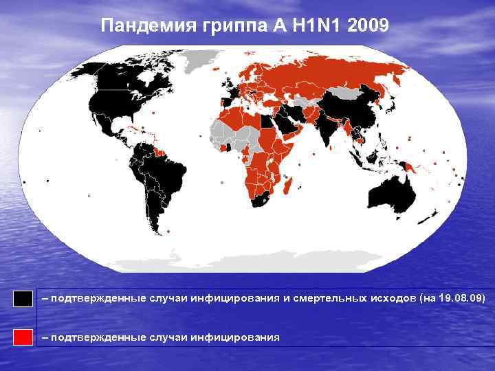    Пандемия гриппа А H 1 N 1 2009 – подтвержденные случаи