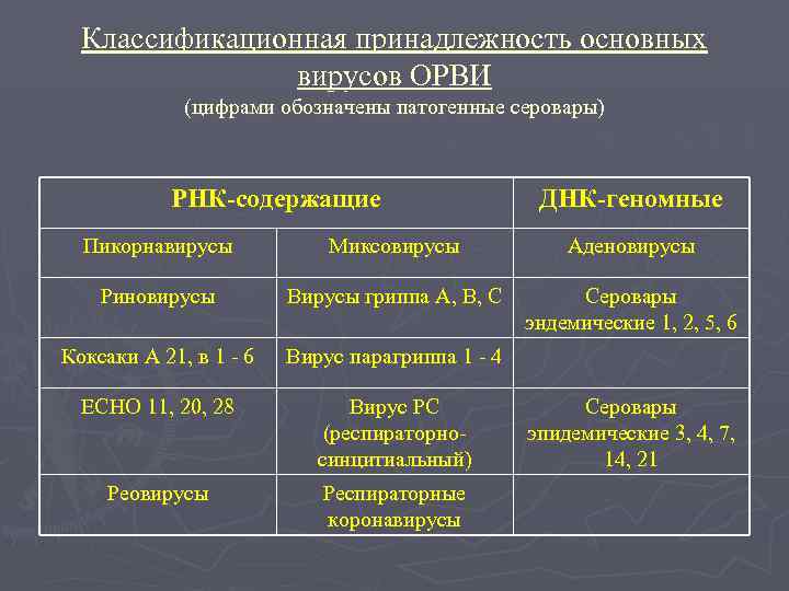  Классификационная принадлежность основных   вирусов ОРВИ   (цифрами обозначены патогенные серовары)