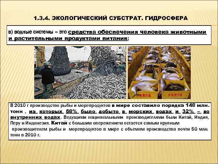    1. 3. 4. ЭКОЛОГИЧЕСКИЙ СУБСТРАТ. ГИДРОСФЕРА в) водные системы – это