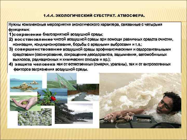     1. 4. 4. ЭКОЛОГИЧЕСКИЙ СУБСТРАТ. АТМОСФЕРА.  Нужны комплексные мероприятия