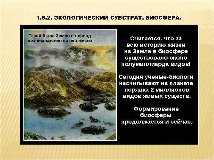 1. 5. 2. ЭКОЛОГИЧЕСКИЙ СУБСТРАТ. БИОСФЕРА. 