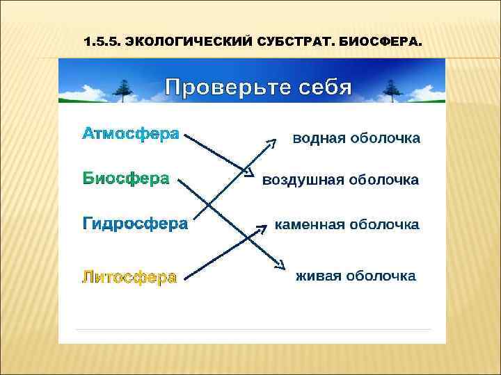 1. 5. 5. ЭКОЛОГИЧЕСКИЙ СУБСТРАТ. БИОСФЕРА. 