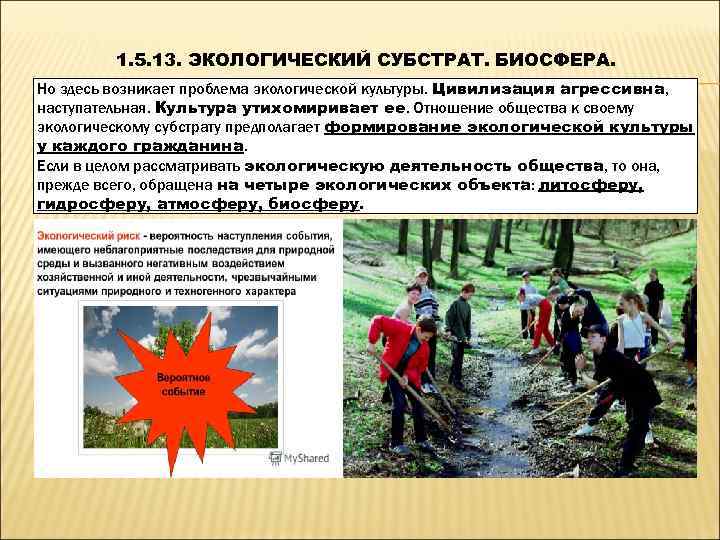    1. 5. 13. ЭКОЛОГИЧЕСКИЙ СУБСТРАТ. БИОСФЕРА. Но здесь возникает проблема экологической