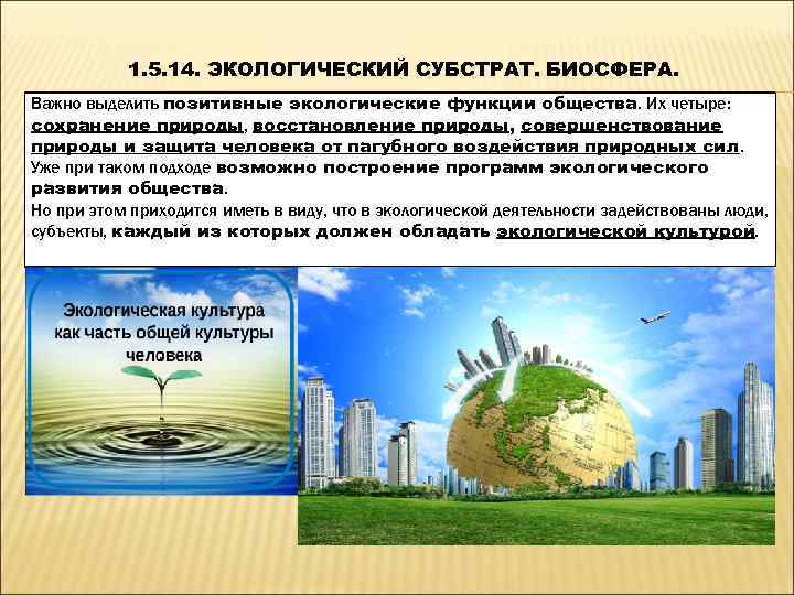   1. 5. 14. ЭКОЛОГИЧЕСКИЙ СУБСТРАТ. БИОСФЕРА. Важно выделить позитивные экологические функции общества.